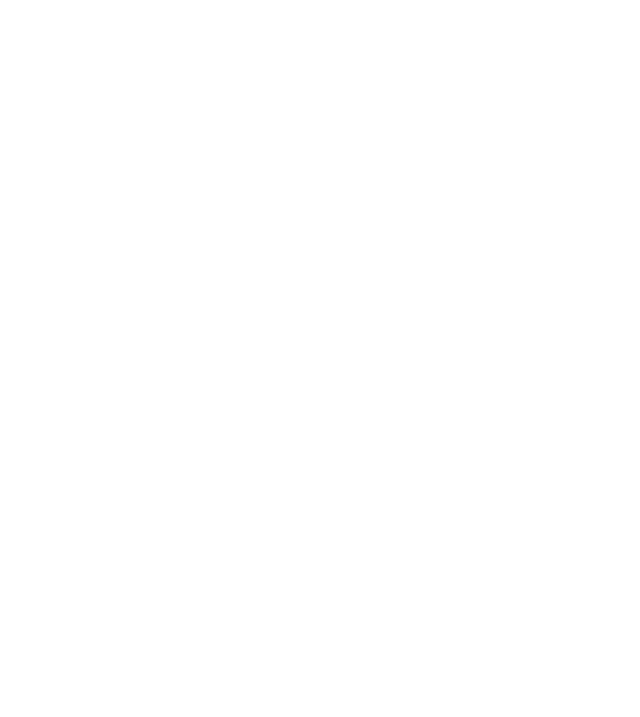 Medellin Industries Corp
